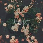 Riham Mostafa - @riham.hamed.54 - Instagram