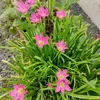 Rijo Rajan - @rijo.rajan - TikTok