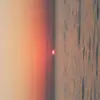 riki_king - @riki_king - TikTok