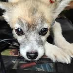 Ricky Generao ER - @rikkigeen - Instagram