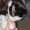 Rikki_KING1234 - @rikki_17280 - TikTok