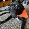 Rikki King - @rikkiking65 - TikTok