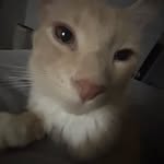 Riley alvarez - @rileyalvarez41 - Instagram