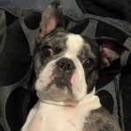 Riley Ashford - Facebook