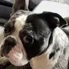 Riley Ashford - @riley.ashford3 - TikTok