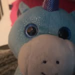 Riley Baird - @riley.baird.583 - Instagram