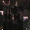 Riley Baird - @riley.baird1 - TikTok