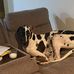 Riley Baker - Facebook