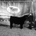 Riley Barr - Facebook
