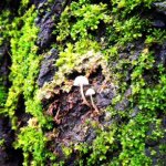 Riley Baugh - @rab_photos97 - Instagram