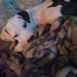 Riley Beasley - @rab2008 - Instagram
