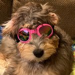 Riley Beasley - @rockin_riley_bear - Instagram