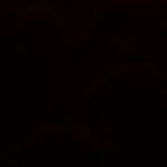 Riley_Behan - @riley_behan98 - Instagram