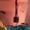 Riley Benson - @xo.riley_benson.xo - TikTok