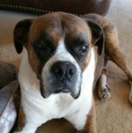 Riley Bentley - Facebook