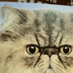 Riley Bentley - @rb.14877 - Instagram