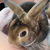 Riley Bergeron - @iamtop.g - TikTok