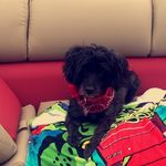 Riley Block - @riley_block15 - Instagram