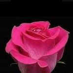 Betty Riley - Facebook
