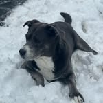 Riley Bray - @airbournelemon - Instagram