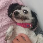 RileyBray - @rileybray30 - Instagram