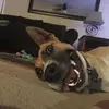 rileybrowning  - @rileybrowning - TikTok