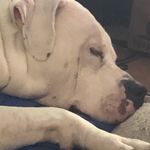 Rileyburris - @rileyburris6 - Instagram