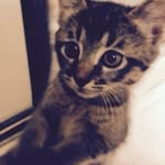 riley! - @_riley.carroll - Instagram