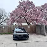 Riley Carroll - @rileycarrroll - Instagram