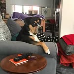 Riley Carroll - @rileykarroll - Instagram