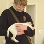 Riley Chapman - @rileychapman60 - Instagram