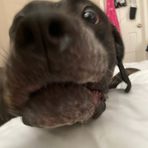 Riley Cherry - Facebook