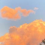 ʀɪʟᴇʏ ᴄᴏʟᴇ - @rileycolee - Instagram