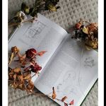 Riley Dodd - @riley_dodd_itqv - Instagram