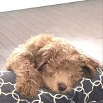 Riley Dodd - @rileydodd3 - Instagram