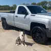 Riley Dodge341 - @rileydodge341 - TikTok