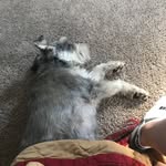 Riley dodge - @dodge.riley - Instagram