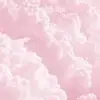 Riley - @rileydodge8 - TikTok