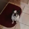 RileyHardendodge - @rileyharden102705 - TikTok