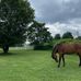 Riley Doyle - Facebook