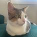 Riley Dunmire - Facebook