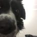 Riley Edwards - Facebook