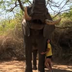 Rylee Elwell - Facebook