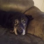 Riley Erickson - Facebook