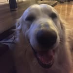 Riley Erickson - @rileyerickson3 - Instagram