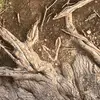 Riley Erickson - @secret.hehehhehe - TikTok