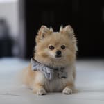 Riley Escobar - @escobar.riley - Instagram