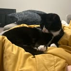 Riley Farmer - Facebook