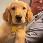Riley Farmer - Facebook
