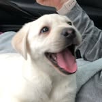 Riley Farmer - @riley_and_me__ - Instagram